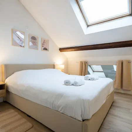 Superbe Duplex Centre Apartment Mülhausen