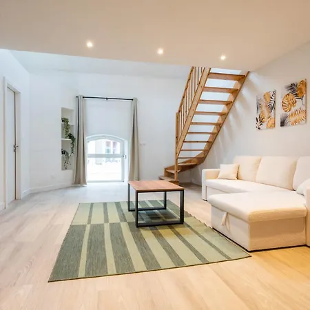 Apartment Superbe Duplex Centre Mülhausen